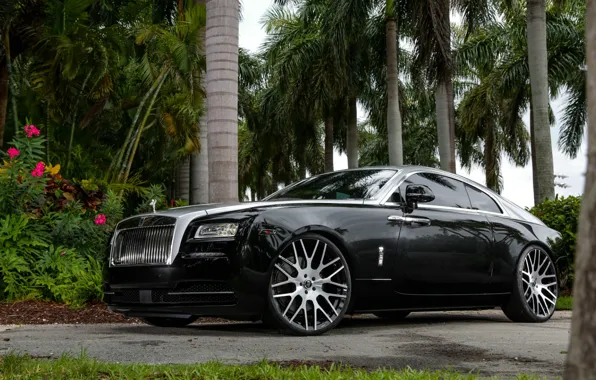 Picture Rolls-Royce, wallpaper, black, Rolls Royce Wraith