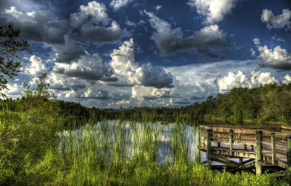 Forest, the sky, clouds, lake, the reeds, pier, hdr, USA