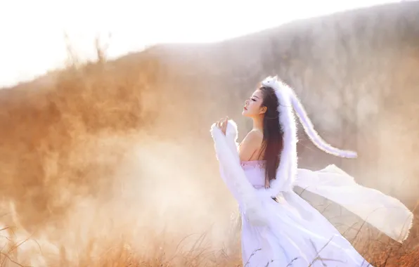 Girl, light, nature, fog, style, hill, Fox, couples