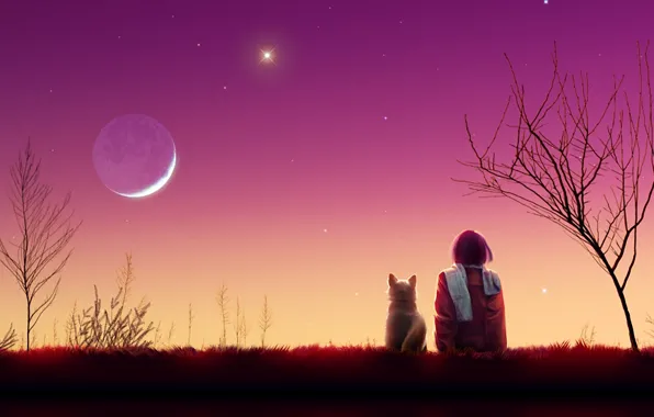 Cat, girl, stars, trees, landscape, sunset, the moon, the evening