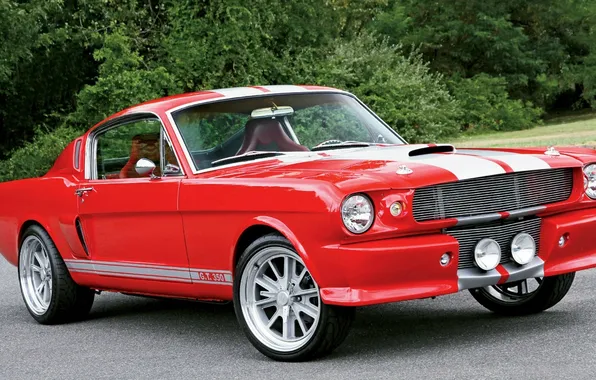 Picture car, Mustang, Ford, muscle, G.T.350