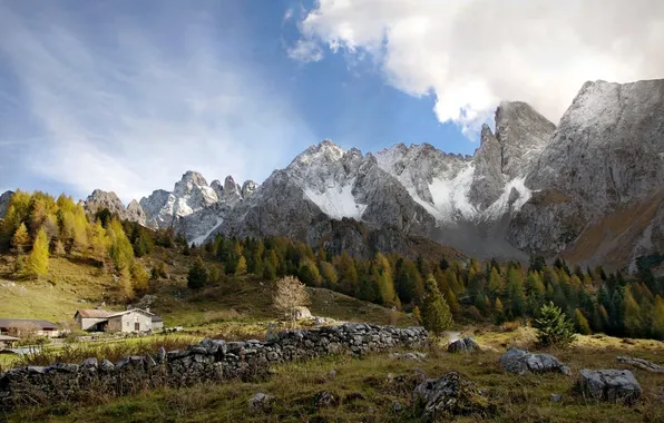 Picture trees, landscape, mountains, nature, house, stones