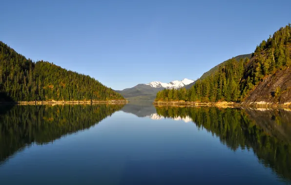 Picture forest, landscape, mountains, lake, reflection, Nature