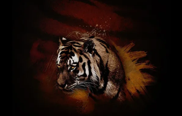 Picture orange, red, tiger, animal, predator, beast, brown