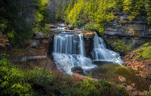 Forest, rock, river, waterfalls, cascade, West Virginia, West Virginia, Blackwater River