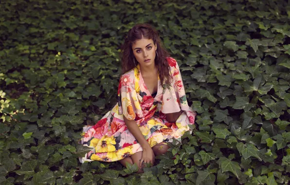 Picture look, girl, face, beauty, dress, leaves