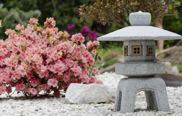 Picture flowers, Japan, Bush, lantern