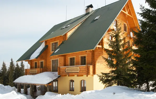 Picture winter, house, stay, tree, Interior, cottage