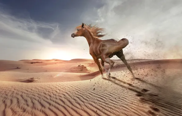 Sand, the sky, the sun, clouds, light, landscape, traces, nature