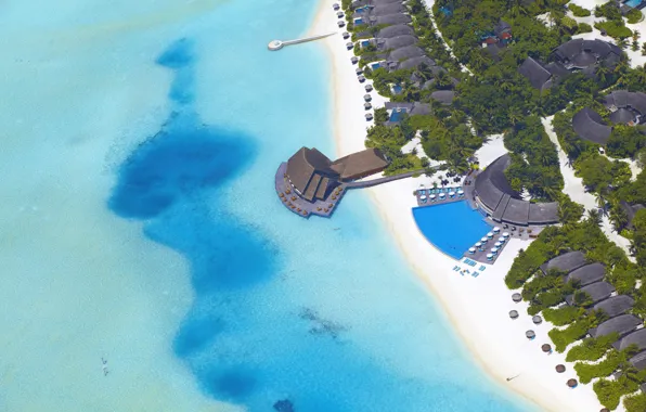 Sea, beach, palm trees, the ocean, pool, houses, The Maldives, pool