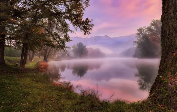 Download wallpaper autumn, fog, lake, section nature in resolution ...