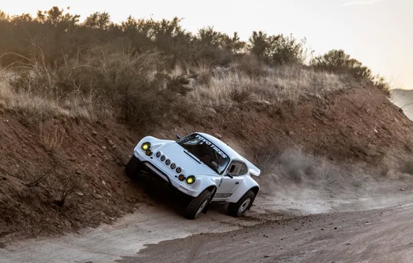 Vegetation, 911, Porsche, roadside, 964, 2019, 911 Baja Prototype, Russell Built Fabrication