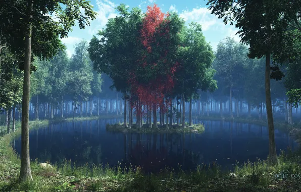 Picture forest, grass, leaves, trees, lake, red, island, render