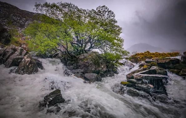 Picture trees, mountains, river, stones, stream, Scotland
