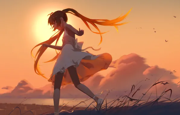 Picture the sky, girl, clouds, sunset, birds, anime, art, vocaloid