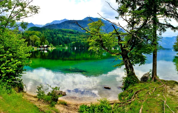 Picture the sky, trees, mountains, lake, Slovenia, Bohinj