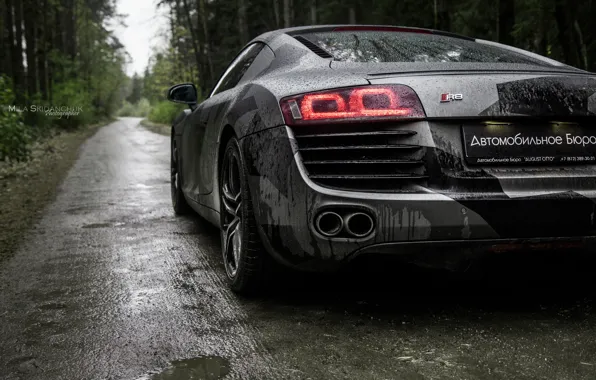 Car, machine, auto, forest, fog, rain, Audi, audi