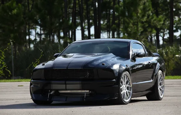 Trees, reflection, strip, black, mustang, Mustang, ford, black