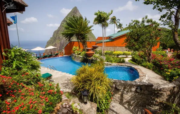 Picture sea, the sun, landscape, flowers, palm trees, rocks, pool, resort