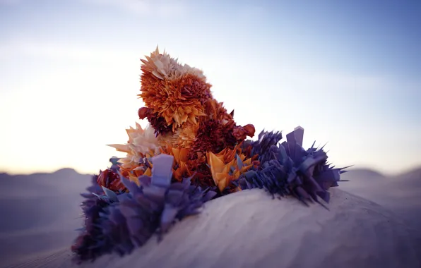 Sand, flower, crystals, No