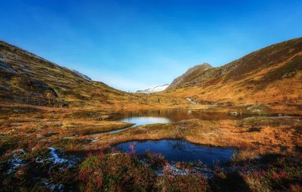 Picture autumn, the sky, grass, snow, mountains, lake, Norway, Sunny