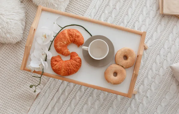 Breakfast, Cup, plaid, donut, Orchid, cup, orchid, growing