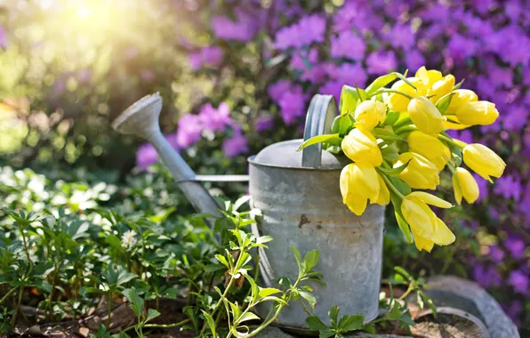 Flowers, Bush, bouquet, spring, yellow, garden, tulips, lake