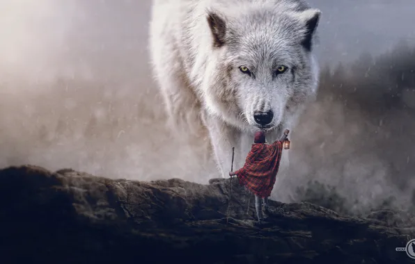 Picture digital art, polar wolf, sciencie fiction adventures, wolf wallpaper