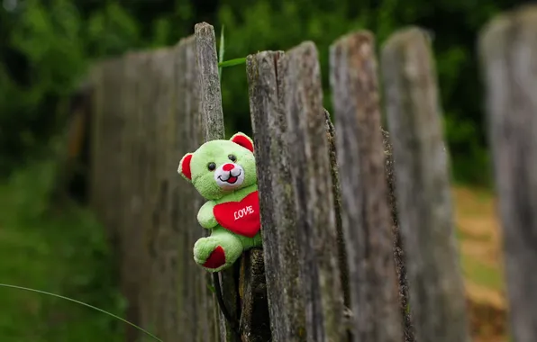 Toy, the fence, bear