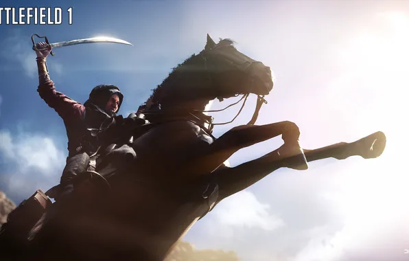 Picture the sky, horse, the second world, swords, land, Battlefield 1