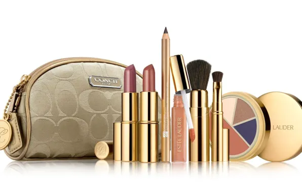 Picture shadow, pencils, lipstick, cosmetics, brand, Estee-Lauder, cosmetic bag