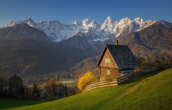 Forest, trees, mountains, spring, Alps, house