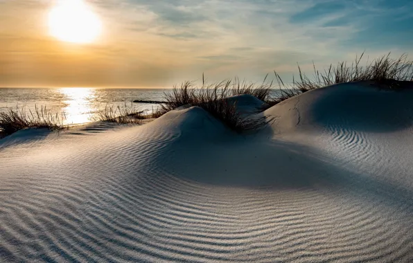 Sea, sunset, shore, dunes