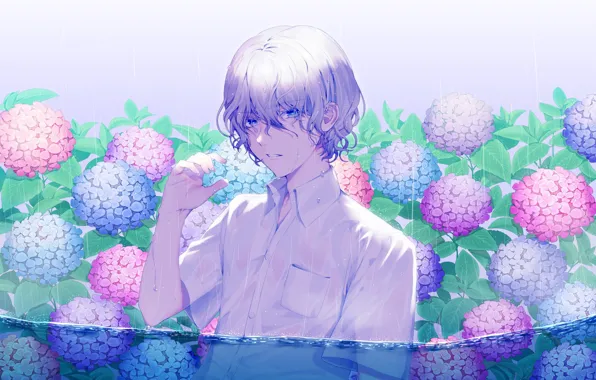 Picture drops, wet, rain, guy, curls, in the water, hydrangea, white shirt
