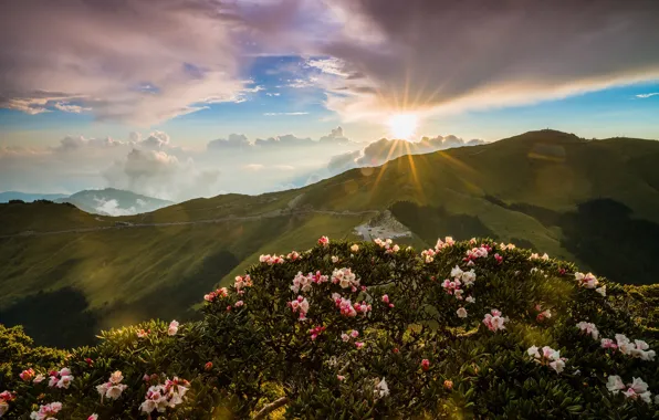 The sky, the sun, clouds, rays, light, landscape, flowers, mountains