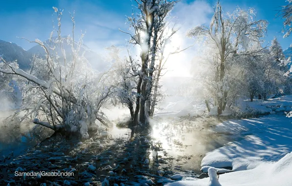 Winter, the sun, snow, landscape