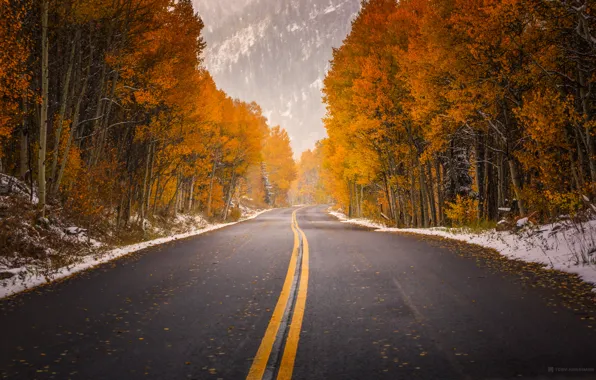 Picture road, autumn, paint, Colorado, USA, in aspen