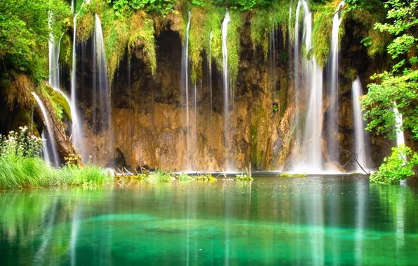 Tropics, pond, waterfall, mirror, laguna, Waterfall