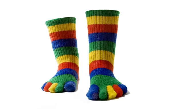 Color, strips, feet, socks, fingers, colorful, warm