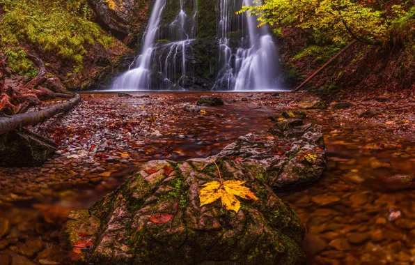 Autumn, leaves, river, stones, waterfall, cascade