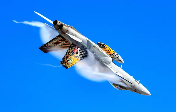 Fighter, The Swiss air force, The Effect Of Prandtl — Glauert, F/A-18 Hornet, PTB