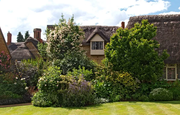 Greens, the sky, grass, the sun, clouds, trees, village, England