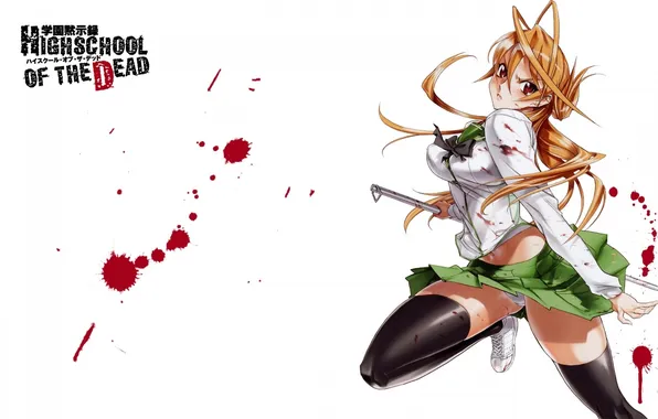 Picture highschool of the dead, hotd, miyamoto rei