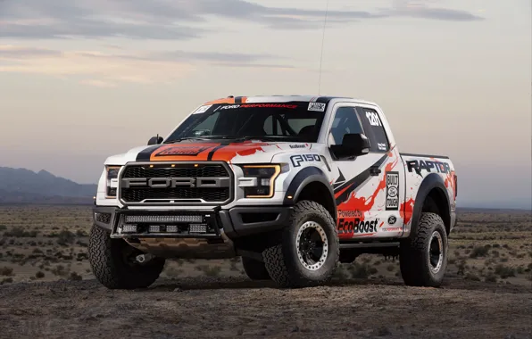 Picture Raptor, 2017, Ford F-150, Race Truck