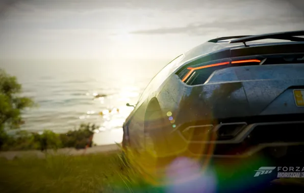 Machine, auto, grass, trees, the ocean, rocks, shore, view