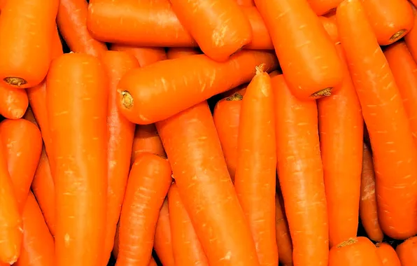 Orange, carrot, placer, vegetables, carrots