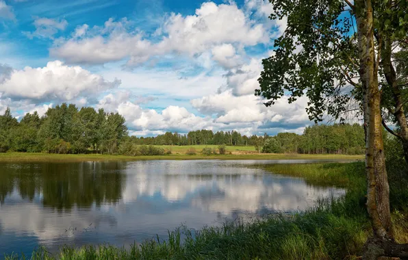Picture the sky, water, trees, nature