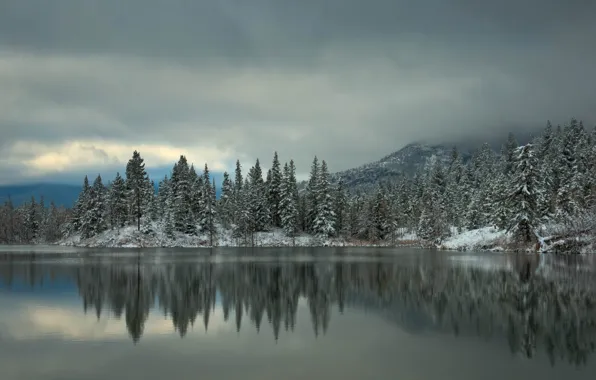 Winter, forest, snow, trees, mountains, lake, reflection, spruce