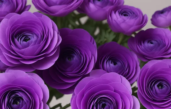 Flower, purple, flowers, green, green, tenderness, figure, plant