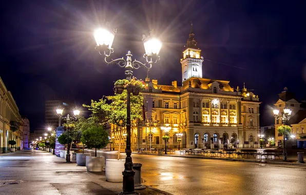 Picture road, night, lights, street, lights, Palace, benches, Serbia